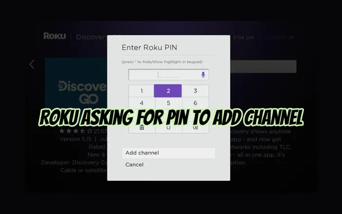How To Fix Roku Asking For Pin To Add Channel