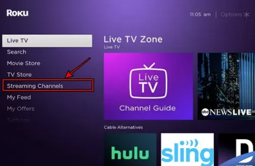 Streaming Channels Option On Roku TV